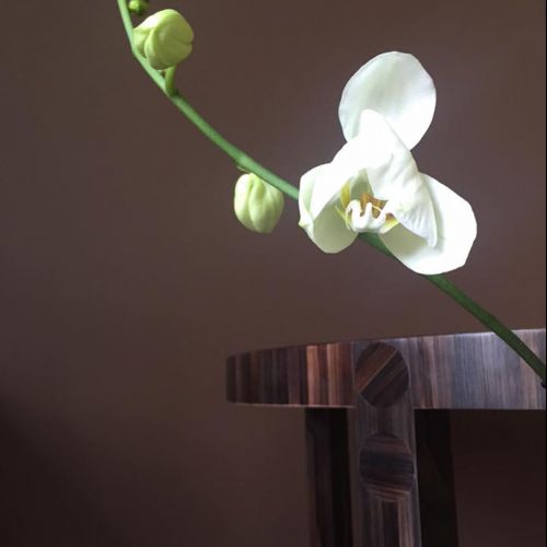 Orchidée blanche et table en marqueterie de paille